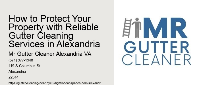 How to Protect Your Property with Reliable Gutter Cleaning Services in Alexandria