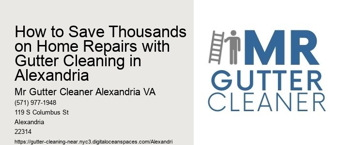 How to Save Thousands on Home Repairs with Gutter Cleaning in Alexandria