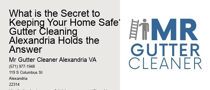 What is the Secret to Keeping Your Home Safe? Gutter Cleaning Alexandria Holds the Answer