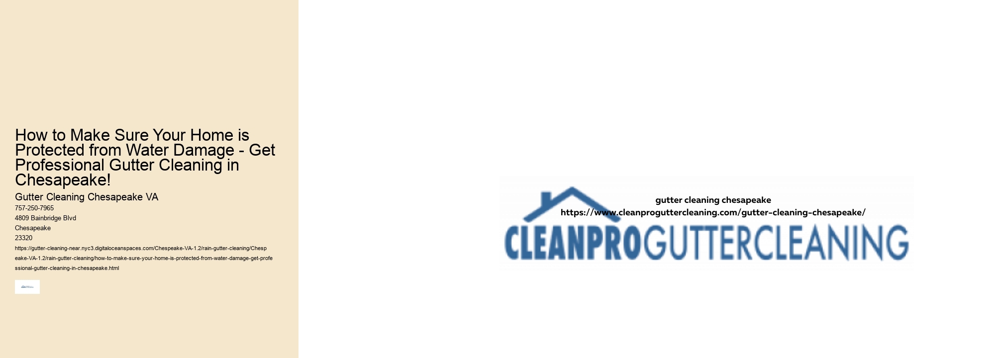 How to Make Sure Your Home is Protected from Water Damage - Get Professional Gutter Cleaning in Chesapeake!