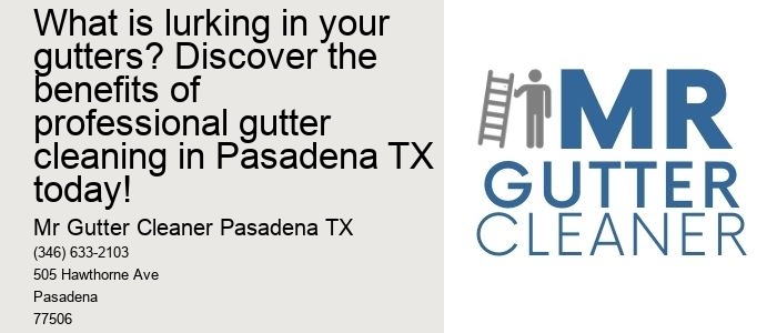 What is lurking in your gutters? Discover the benefits of professional gutter cleaning in Pasadena TX today!