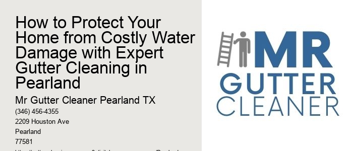 How to Protect Your Home from Costly Water Damage with Expert Gutter Cleaning in Pearland