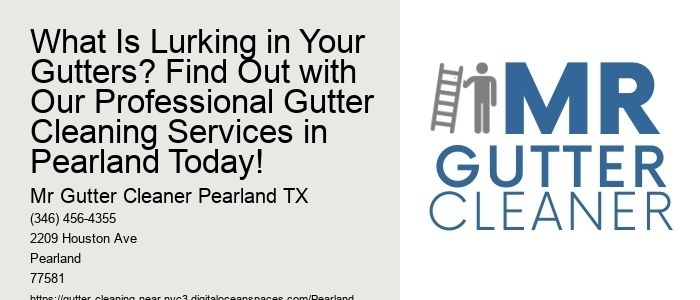 What Is Lurking in Your Gutters? Find Out with Our Professional Gutter Cleaning Services in Pearland Today!