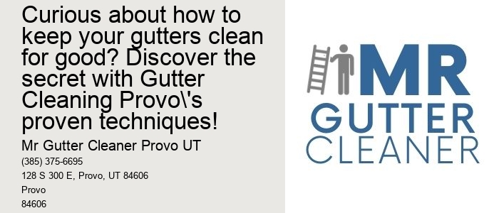 Curious about how to keep your gutters clean for good? Discover the secret with Gutter Cleaning Provo's proven techniques!