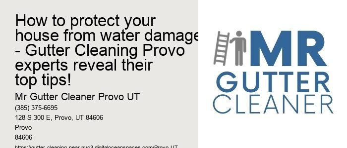 How to protect your house from water damage - Gutter Cleaning Provo experts reveal their top tips!