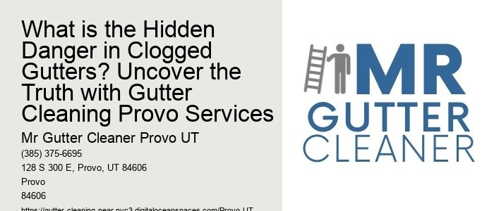 What is the Hidden Danger in Clogged Gutters? Uncover the Truth with Gutter Cleaning Provo Services
