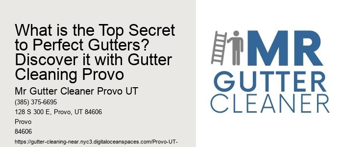 What is the Top Secret to Perfect Gutters? Discover it with Gutter Cleaning Provo