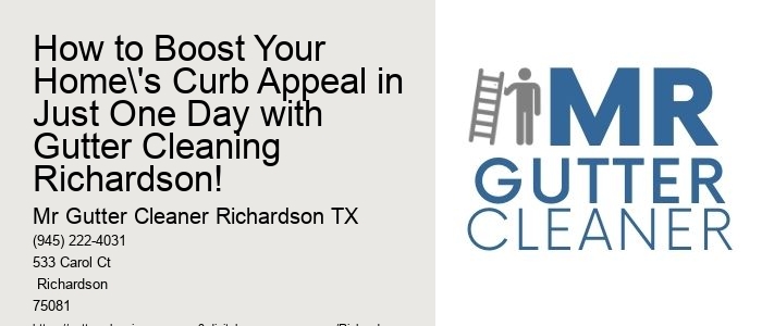 How to Boost Your Home's Curb Appeal in Just One Day with Gutter Cleaning Richardson!