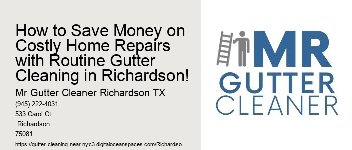 How to Save Money on Costly Home Repairs with Routine Gutter Cleaning in Richardson!