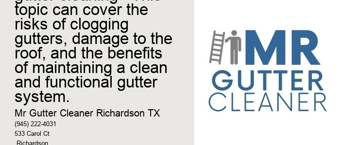 Importance of regular gutter cleaning - This topic can cover the risks of clogging gutters, damage to the roof, and the benefits of maintaining a clean and functional gutter system.