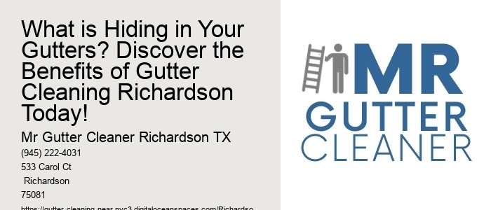 What is Hiding in Your Gutters? Discover the Benefits of Gutter Cleaning Richardson Today!