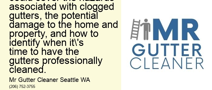 The importance of regular gutter cleaning in Seattle: This topic could cover the hazards associated with clogged gutters, the potential damage to the home and property, and how to identify when it's time to have the gutters professionally cleaned.