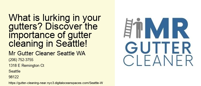 What is lurking in your gutters? Discover the importance of gutter cleaning in Seattle!