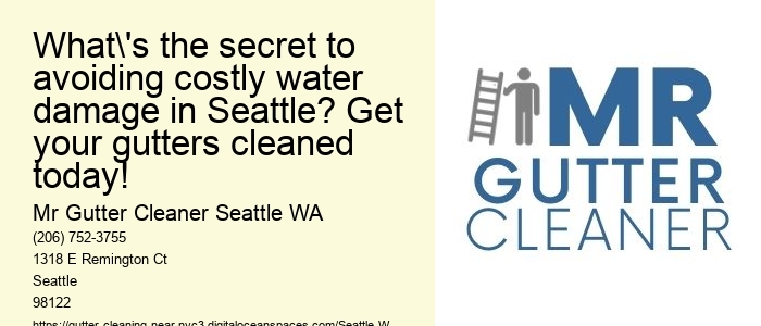 What's the secret to avoiding costly water damage in Seattle? Get your gutters cleaned today!