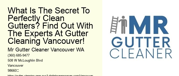 What Is The Secret To Perfectly Clean Gutters? Find Out With The Experts At Gutter Cleaning Vancouver!
