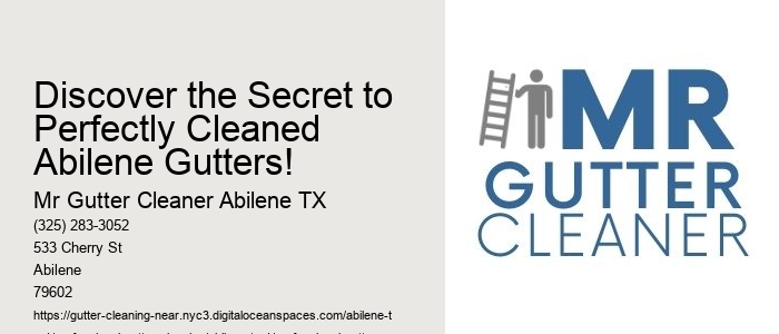 Discover the Secret to Perfectly Cleaned Abilene Gutters!