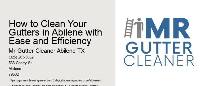 How to Clean Your Gutters in Abilene with Ease and Efficiency 