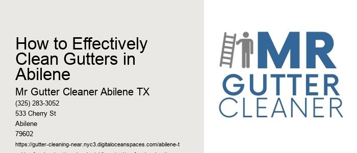 How to Effectively Clean Gutters in Abilene 