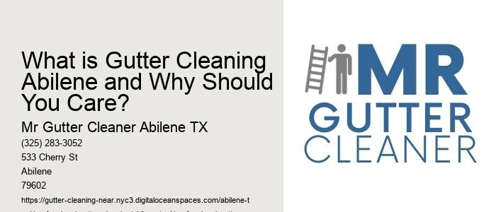 What is Gutter Cleaning Abilene and Why Should You Care? 