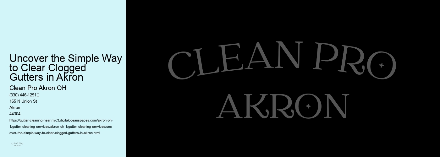 Uncover the Simple Way to Clear Clogged Gutters in Akron