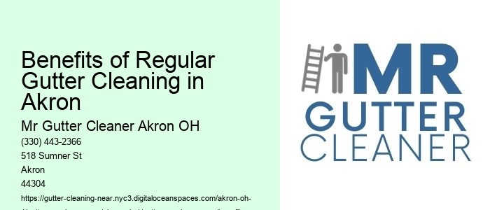 Benefits of Regular Gutter Cleaning in Akron 