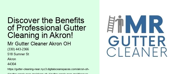 Discover the Benefits of Professional Gutter Cleaning in Akron!