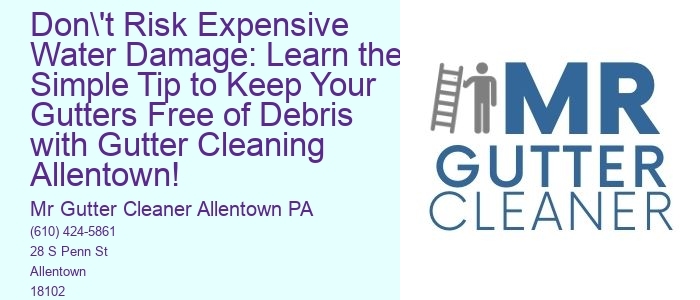 Don't Risk Expensive Water Damage: Learn the Simple Tip to Keep Your Gutters Free of Debris with Gutter Cleaning Allentown!