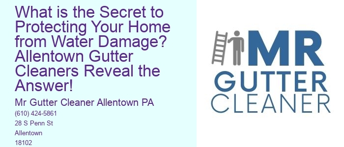 What is the Secret to Protecting Your Home from Water Damage? Allentown Gutter Cleaners Reveal the Answer!