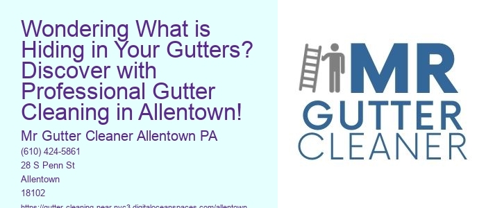 Wondering What is Hiding in Your Gutters? Discover with Professional Gutter Cleaning in Allentown!