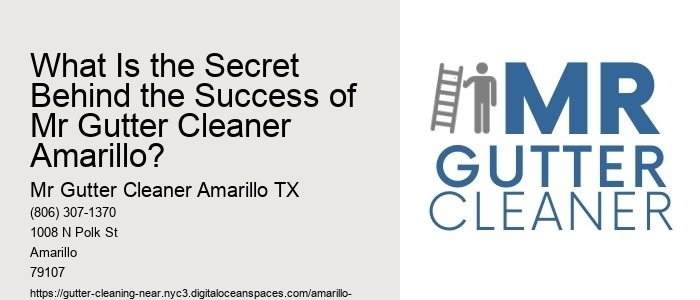 What Is the Secret Behind the Success of Mr Gutter Cleaner Amarillo?