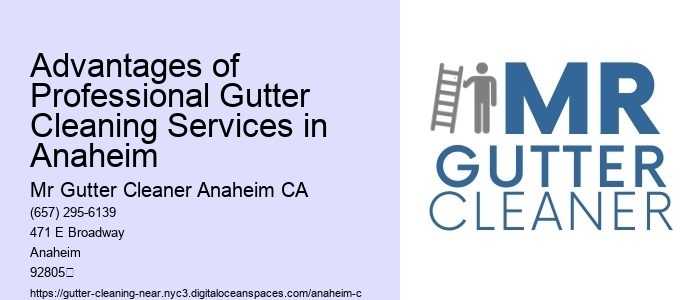 Advantages of Professional Gutter Cleaning Services in Anaheim