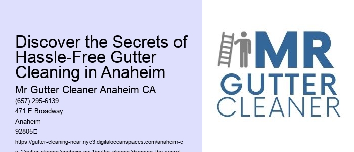 Discover the Secrets of Hassle-Free Gutter Cleaning in Anaheim