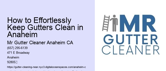 How to Effortlessly Keep Gutters Clean in Anaheim 