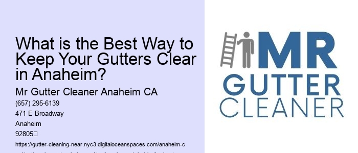 What is the Best Way to Keep Your Gutters Clear in Anaheim?