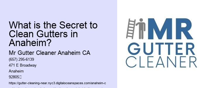 What is the Secret to Clean Gutters in Anaheim? 