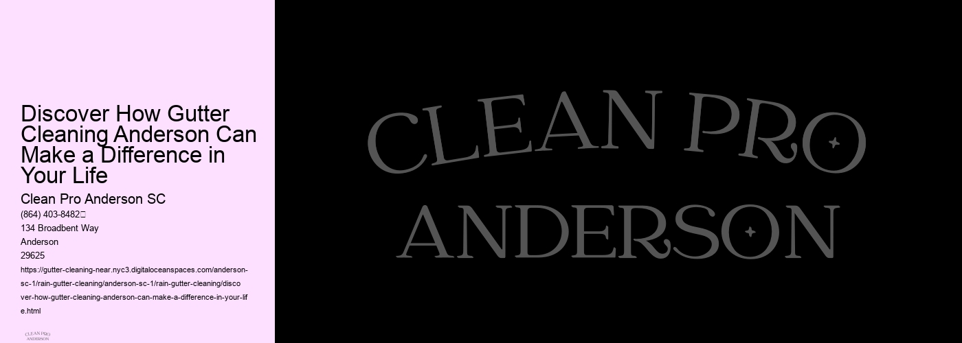 Discover How Gutter Cleaning Anderson Can Make a Difference in Your Life