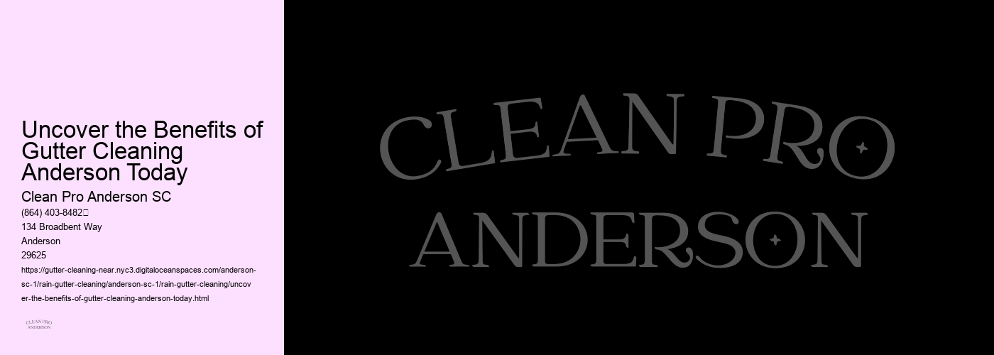 Uncover the Benefits of Gutter Cleaning Anderson Today 