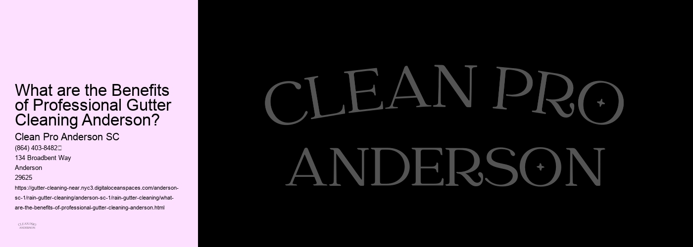 What are the Benefits of Professional Gutter Cleaning Anderson? 