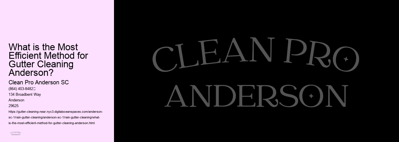 What is the Most Efficient Method for Gutter Cleaning Anderson? 
