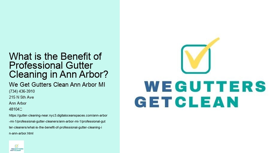 What is the Benefit of Professional Gutter Cleaning in Ann Arbor?