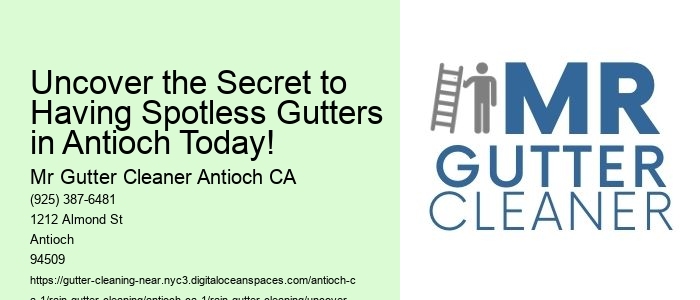 Uncover the Secret to Having Spotless Gutters in Antioch Today!