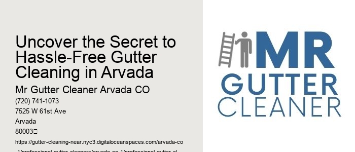 Uncover the Secret to Hassle-Free Gutter Cleaning in Arvada