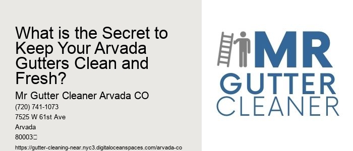 What is the Secret to Keep Your Arvada Gutters Clean and Fresh? 