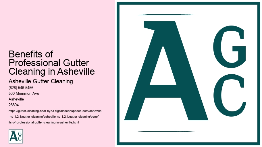 Benefits of Professional Gutter Cleaning in Asheville 