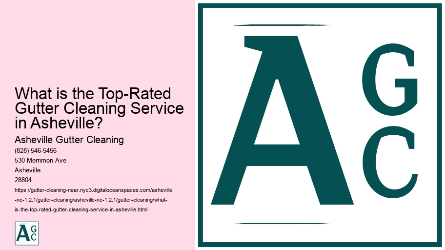 What is the Top-Rated Gutter Cleaning Service in Asheville? 