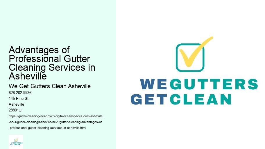 Advantages of Professional Gutter Cleaning Services in Asheville 