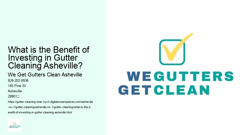 What is the Benefit of Investing in Gutter Cleaning Asheville?