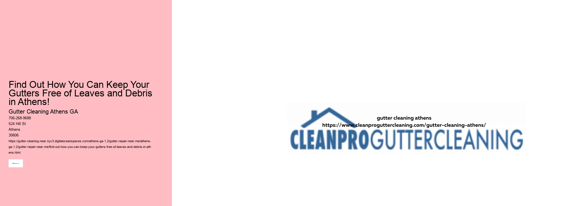 Find Out How You Can Keep Your Gutters Free of Leaves and Debris in Athens!
