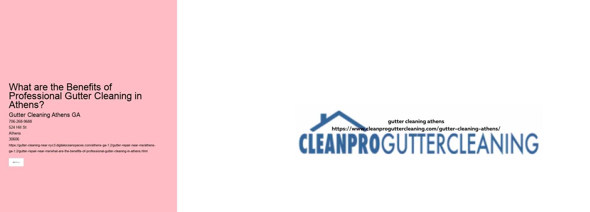 What are the Benefits of Professional Gutter Cleaning in Athens?