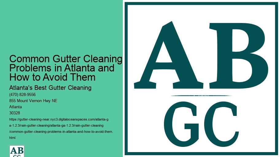 Common Gutter Cleaning Problems in Atlanta and How to Avoid Them